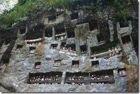 tana toraja - cliff cemetery - batu lemo