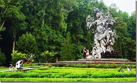 botanical garden