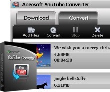 Aneesoft YouTube Converter