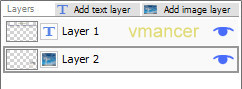 Easy Watermark Studio - watermark layer